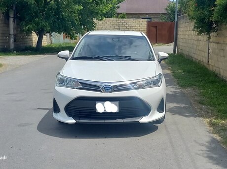 Toyota Corolla Fielder 2019