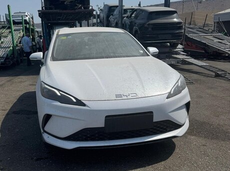 BYD  2025