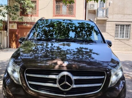 Mercedes Viano 2014