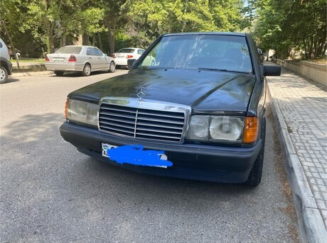 Mercedes 190 1991