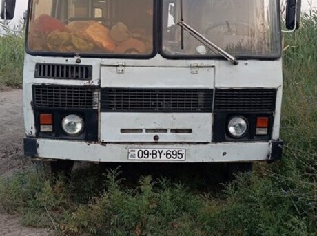 PAZ 3204