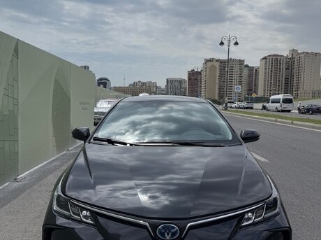 Toyota Corolla 2024