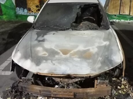 Hyundai Sonata 2010