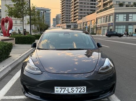 Tesla Model 3 2022