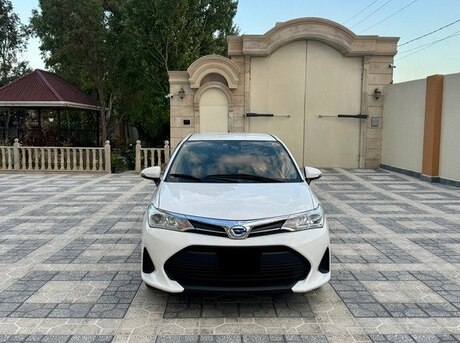 Toyota Corolla Fielder 2019