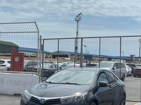 Toyota Corolla 2014