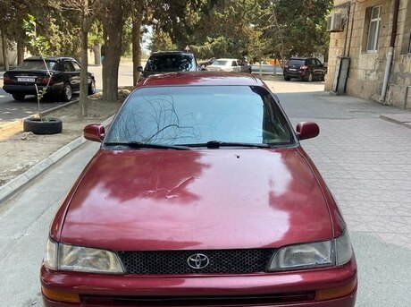 Toyota Corolla 1996