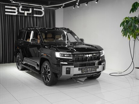 BYD  2025