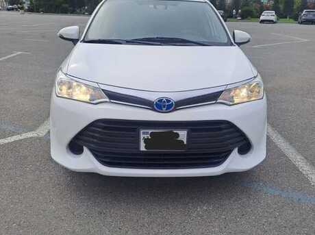 Toyota Corolla Fielder