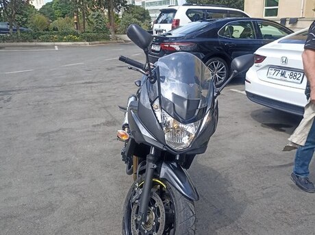 Suzuki  2013