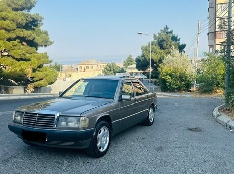 Mercedes 190 1991