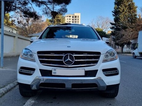Mercedes  2014