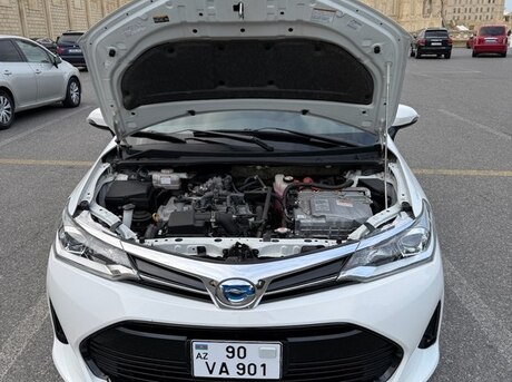 Toyota Corolla Fielder 2019