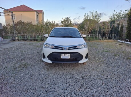 Toyota Corolla Fielder 2019