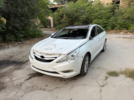 Hyundai Sonata 2010