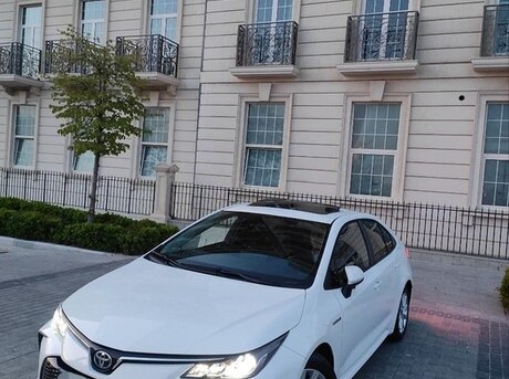 Toyota Corolla 2024