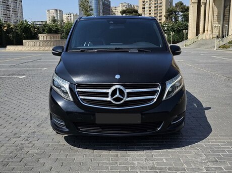 Mercedes Viano