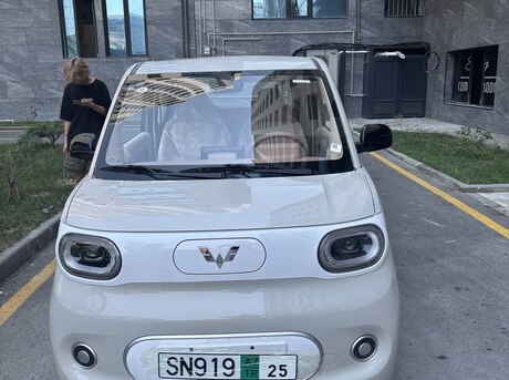 Wuling Hongguang Mini EV 2024
