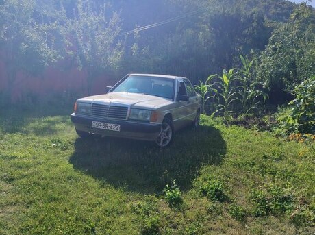 Mercedes 190 1992