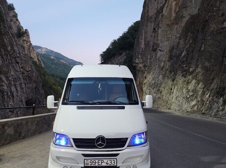 Mercedes Sprinter 313 2006