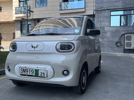 Wuling Hongguang Mini EV 2024