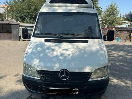 Mercedes Sprinter 313 2003