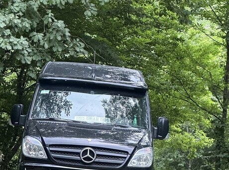 Mercedes Sprinter 315