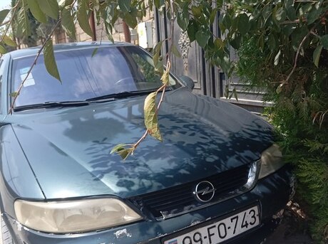 Opel Vectra 2000