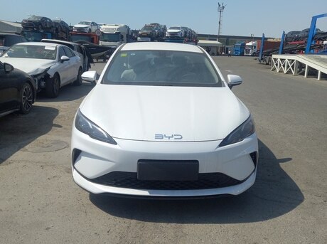 BYD  2025