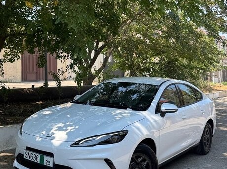 BYD  2025