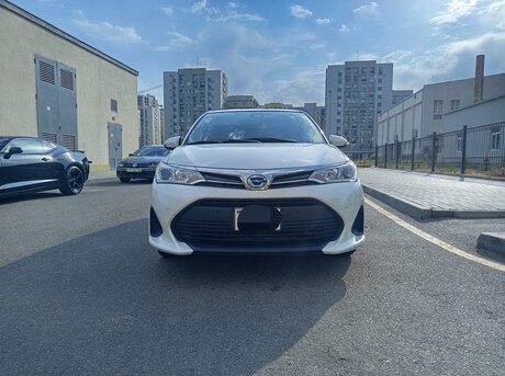 Toyota Corolla Fielder 2019