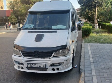Mercedes Sprinter 313