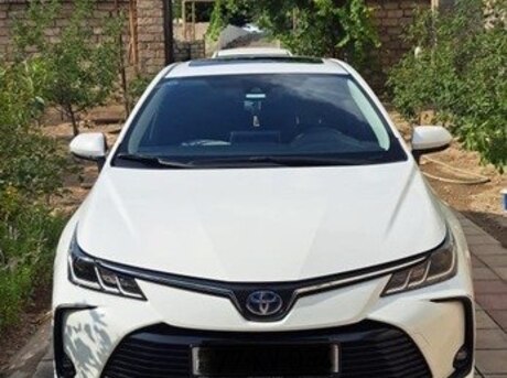 Toyota Corolla 2023