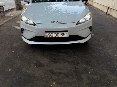 BYD  2025