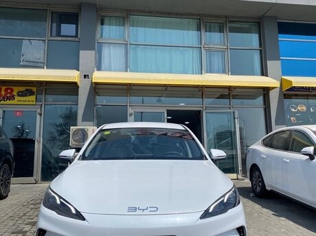 BYD  2025