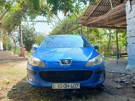 Peugeot 407 2005