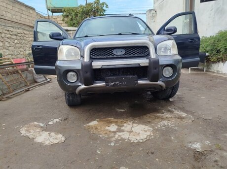 Hyundai Santa Fe 2004