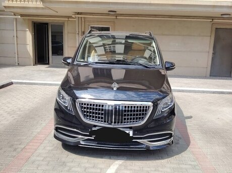 Mercedes Viano 2012