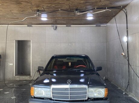 Mercedes 190 1991