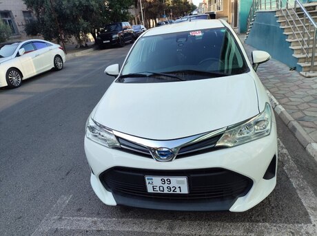 Toyota Corolla Fielder 2019