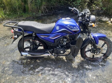 Polad M 50 2023