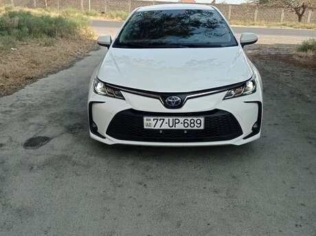 Toyota Corolla 2024