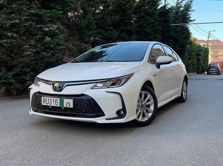 Toyota Corolla 2024