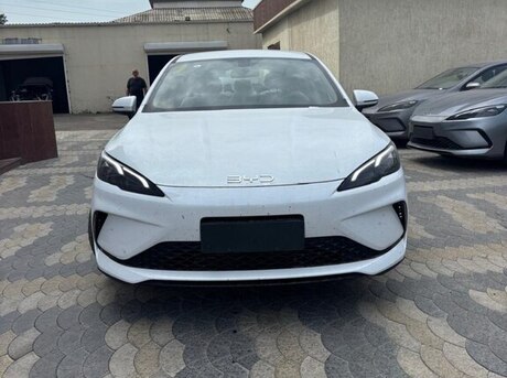 BYD  2025
