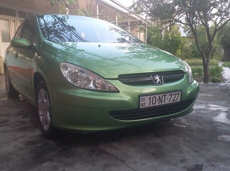Peugeot 307 2004