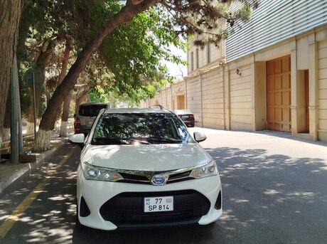 Toyota Corolla Fielder 2019