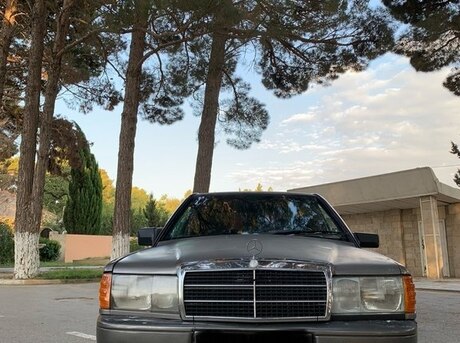 Mercedes 190 1990