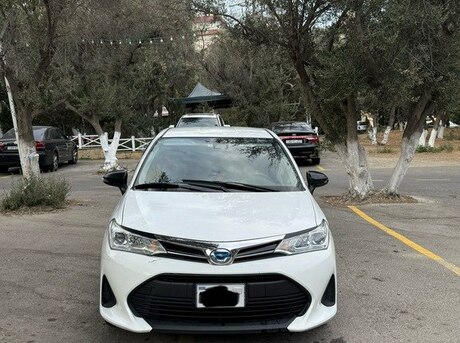 Toyota Corolla Fielder 2019