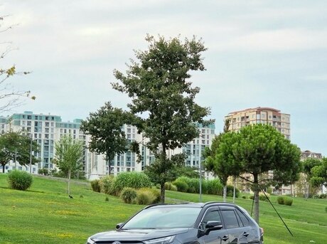 Toyota RAV4 2022