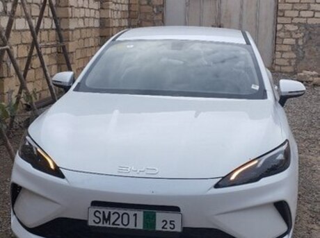 BYD  2025